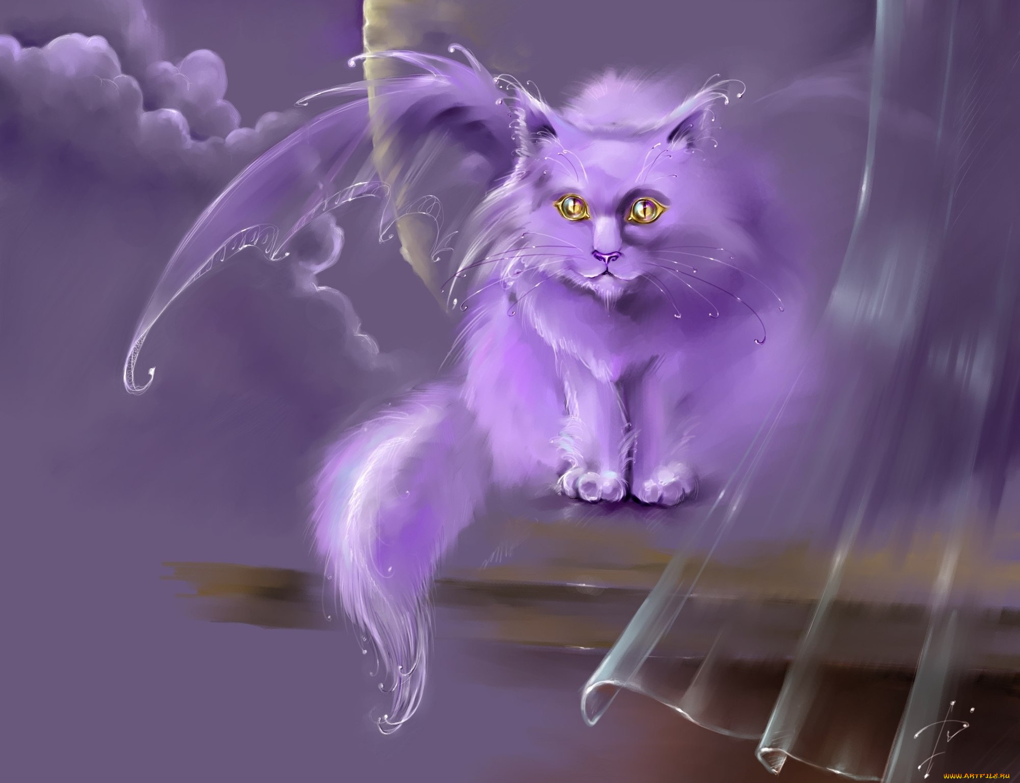 Фиолетовый кот из попи. Фиолетовая кошка. Кот с крыльями. Фэнтези кошки. Волшебные коты.